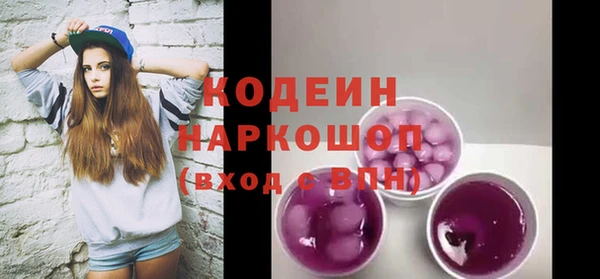 мдпв Бородино