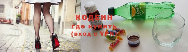 мдпв Бородино