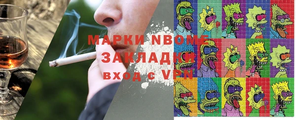 мдпв Бородино