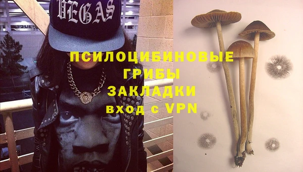 мдпв Бородино