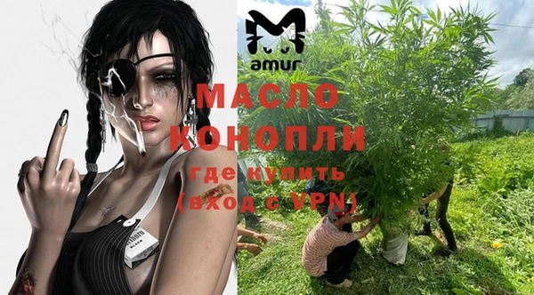 мдпв Богородицк